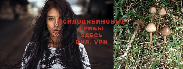 mix Белокуриха
