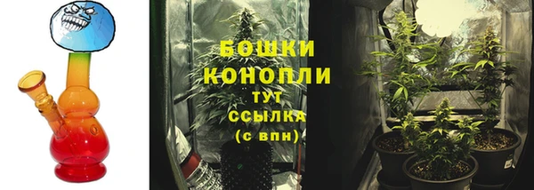 mix Белокуриха