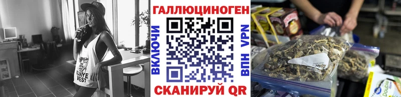 Псилоцибиновые грибы мицелий цена Соль-Илецк
